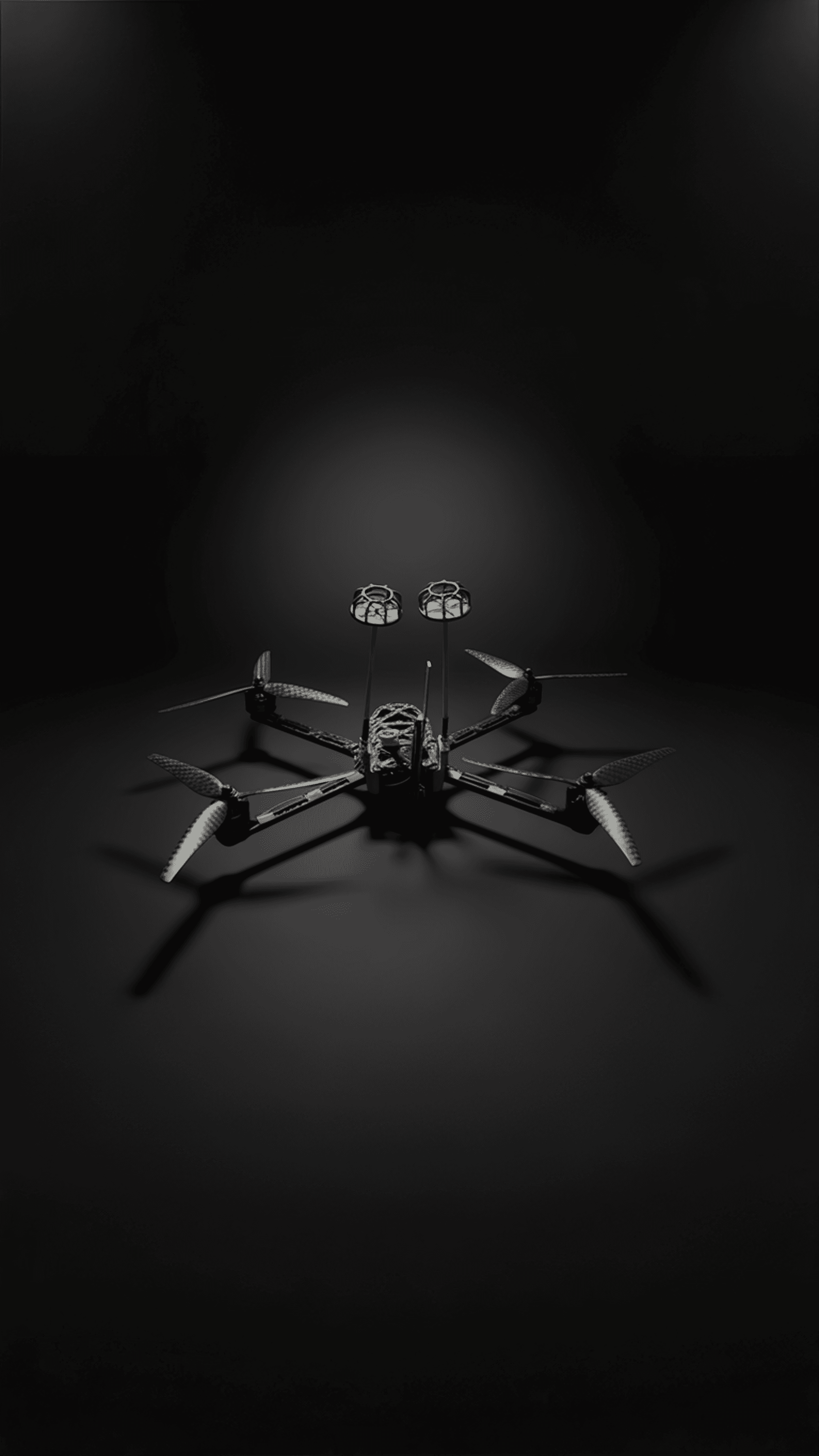 БАБКА-ПЕРЕХОПЛЮВАЧ 